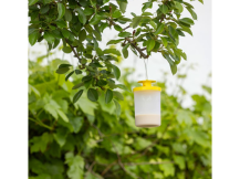 Obrázek k výrobku 126387 - Lapač much včetně návnady KERBL CIT FLYCAGE3