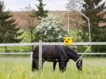 Obrázek k výrobku 126388 - Lapač much včetně návnady KERBL CIT FLYCAGE6