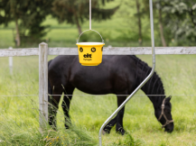 Obrázek k výrobku 126388 - Lapač much včetně návnady KERBL CIT FLYCAGE6