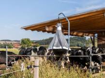 Obrázek k výrobku 125518 - Lapač ovádů KERBL 323500 TAONX ECO