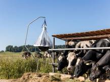 Obrázek k výrobku 125518 - Lapač ovádů KERBL 323500 TAONX ECO