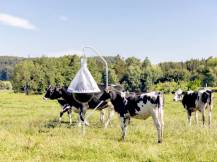 Obrázek k výrobku 125518 - Lapač ovádů KERBL 323500 TAONX ECO