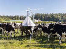 Obrázek k výrobku 125518 - Lapač ovádů KERBL 323500 TAONX ECO