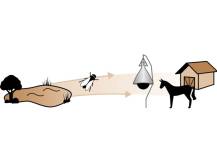 Obrázek k výrobku 125518 - Lapač ovádů KERBL 323500 TAONX ECO