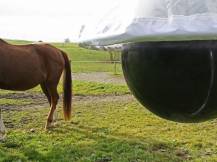 Obrázek k výrobku 125520 - Lapač ovádů KERBL 323520 TAONX