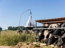 Obrázek k výrobku 125520 - Lapač ovádů KERBL 323520 TAONX