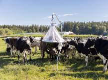 Obrázek k výrobku 125520 - Lapač ovádů KERBL 323520 TAONX