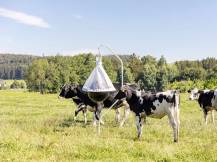 Obrázek k výrobku 125520 - Lapač ovádů KERBL 323520 TAONX