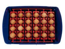 Obrázek k výrobku 125528 - Líheň na vejce BOROTTO REAL 24