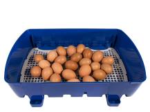 Obrázek k výrobku 125528 - Líheň na vejce BOROTTO REAL 24