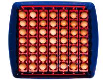 Obrázek k výrobku 125529 - Líheň na vejce BOROTTO REAL 49