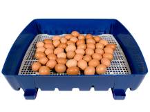 Obrázek k výrobku 125529 - Líheň na vejce BOROTTO REAL 49