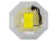 Obrázek k výrobku 125534 - Líheň na vejce CLEO 5