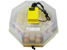 Obrázek k výrobku 125535 - Líheň na vejce CLEO 5 DTH