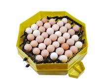 Obrázek k výrobku 125537 - Líheň na vejce CLEO 5x2 DTH