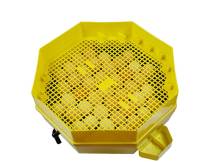 Obrázek k výrobku 125537 - Líheň na vejce CLEO 5x2 DTH