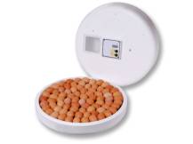 Obrázek k výrobku 125538 - Líheň na vejce PL MASCHINE HU100SK