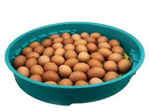 Obrázek k výrobku 125542 - Líheň na vejce PUISOR IO-102