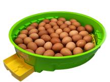 Obrázek k výrobku 125545 - Líheň na vejce PUISOR IO-103THA