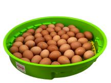 Obrázek k výrobku 125546 - Líheň na vejce PUISOR IO-203