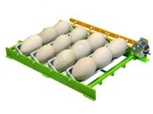 Obrázek k výrobku 125547 - Liska na husí vejce pro líhně CIMUKA GT03