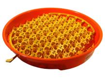 Obrázek k výrobku 125549 - Lisky na křepelčí vejce do otočného roštu pro líhně PUISOR 1.0.ALP