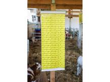 Obrázek k výrobku 125567 - Mucholapka se závěsem KERBL 299847, 30cm x 9m