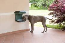 Obrázek k výrobku 77237 - Nástěnný držák misek pro mazlíčky MINI, hnědý