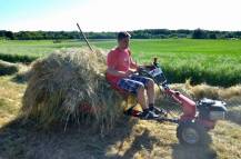 Změněná velikost IMG_6628 kopie