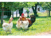 Obrázek k výrobku 125606 - Nevodivá síť pro drůbež KERBL 292278, 106 cm x 50 m / 2 hroty