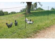 Obrázek k výrobku 125606 - Nevodivá síť pro drůbež KERBL 292278, 106 cm x 50 m / 2 hroty