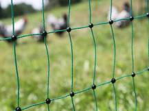 Obrázek k výrobku 125607 - Nevodivá síť pro drůbež KERBL 292279, 106 cm x 25 m / 2 hroty