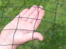 Obrázek k výrobku 125647 - Ochranná síť proti dravcům KERBL 73154, 5x10 m