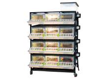 Obrázek k výrobku 125624 - Odchovna drůbeže CIMUKA CB25-03-4K