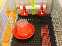 Obrázek k výrobku 125624 - Odchovna drůbeže CIMUKA CB25-03-4K