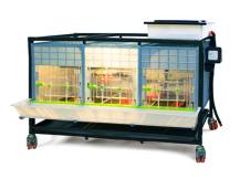 Obrázek k výrobku 125627 - Odchovna drůbeže CIMUKA CB40-03-1K