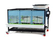 Obrázek k výrobku 125627 - Odchovna drůbeže CIMUKA CB40-03-1K