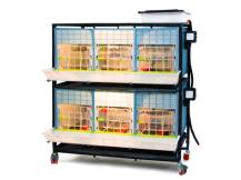 Obrázek k výrobku 125628 - Odchovna drůbeže CIMUKA CB40-03-2K