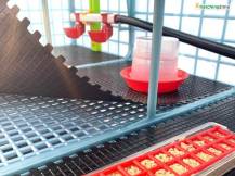 Obrázek k výrobku 125630 - Odchovna drůbeže CIMUKA CB40-03-4K