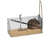 Obrázek k výrobku 125678 - Past na myši a hraboše GAUN 32620 5,5x12x5,5 cm