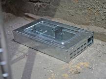 Obrázek k výrobku 125680 - Past na myši domečková AGF obdélníková, s průhledným krytem