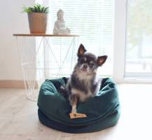 Obrázek k výrobku 72615 - Pelíšek "BASKET" ROYAL / ZELENÁ