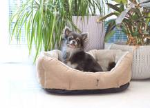 Obrázek k výrobku 72275 - PELÍŠEK Ben - 50 cm