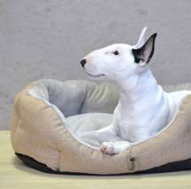 Obrázek k výrobku 72276 - PELÍŠEK Ben - 65 cm