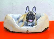 Obrázek k výrobku 72276 - PELÍŠEK Ben - 65 cm