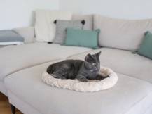 Obrázek k výrobku 125690 - Pelíšek pro psy a kočky oboustranný KERBL 82581, 54x45x6 cm, béžový