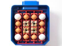 Obrázek k výrobku 125700 - Plně automatická líheň na vejce BOROTTO LUMIA 16 EXPERT