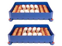 Obrázek k výrobku 125701 - Plně automatická líheň na vejce BOROTTO LUMIA 56 EXPERT