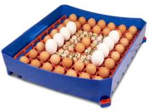 Obrázek k výrobku 125701 - Plně automatická líheň na vejce BOROTTO LUMIA 56 EXPERT