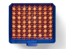 Obrázek k výrobku 125701 - Plně automatická líheň na vejce BOROTTO LUMIA 56 EXPERT